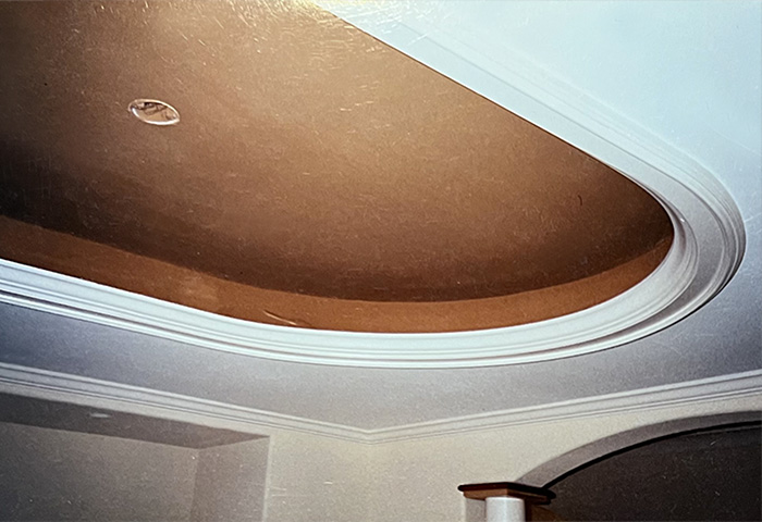 Colorado Project Ceiling Detail